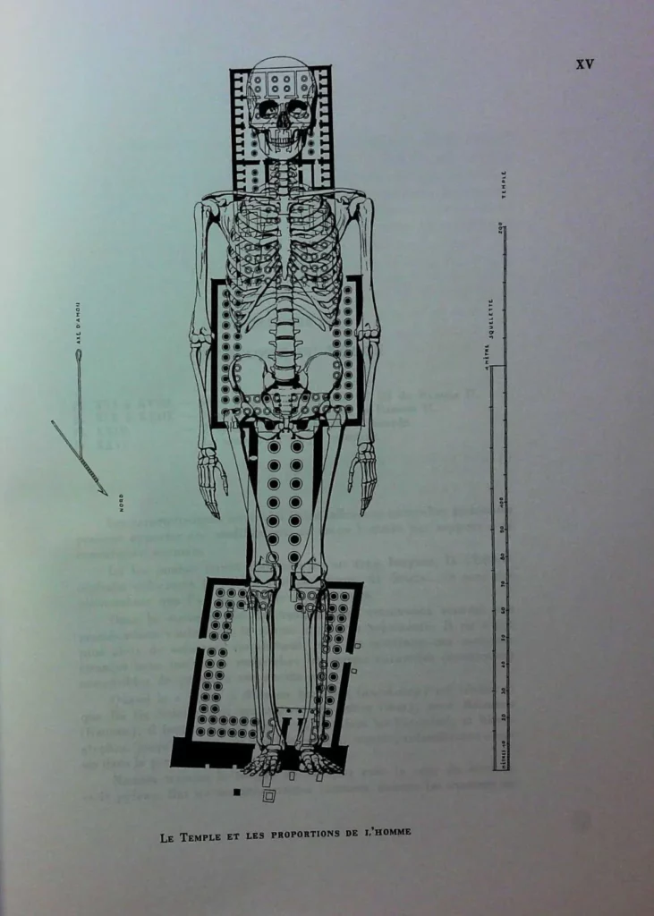 Temple de Louxor et proportions du corps humain selon Schwaller de Lubicz